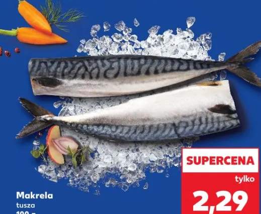 makrela tusza