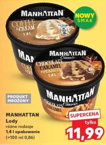 Lody różne rodzaje