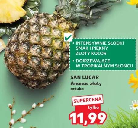 Ananas złoty