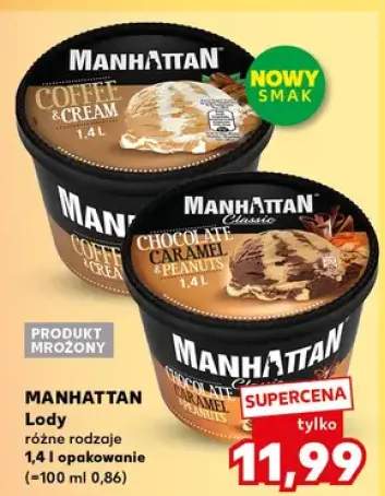 Lody różne rodzaje