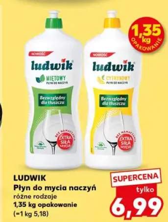 Płyn do mycia naczyń różne rodzaje