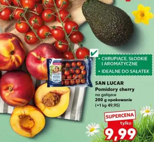 Pomidory cherry na gałązce