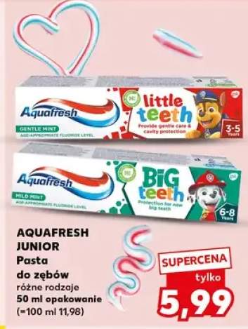 Pasta do zębów różne rodzaje Junior, Big Teeth