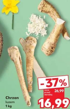 Chrzan luzem
