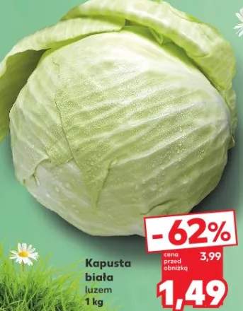 Kapusta biała luzem