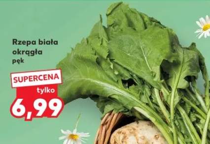 Rzepa biała okrągła pęk