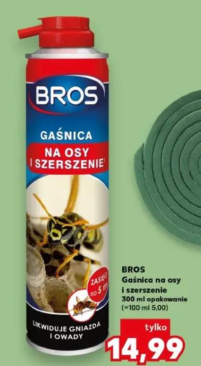 gaśnica na osy i szerszenie