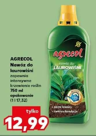 Nawóz do laurowiśni zapewnia intensywne krzewienie roślin