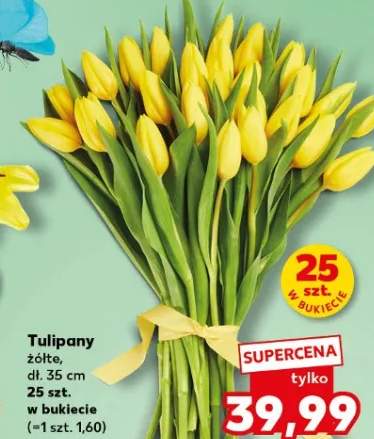 Tulipany żółte, dł. 35 cm