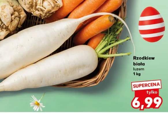 Rzodkiew biała luzem