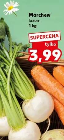 Marchew luzem