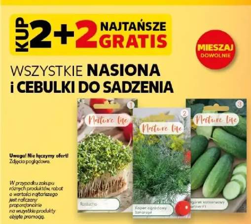 Nasiona i cebulki do sadzenia