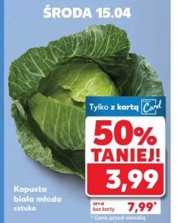 Wszystkie nasiona i cebulki do sadzenia