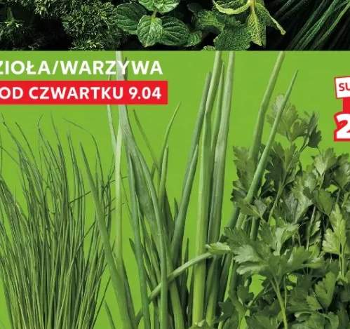 Kiełbasa biała parzona