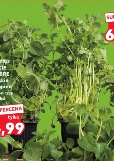 Boczek wędzony parzony