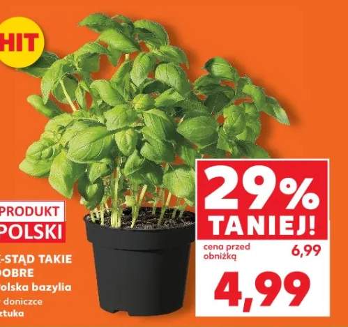 Zupy do gotowania marki Knorr - Barszcz Biały, Ekspresowy Żurek