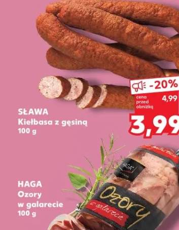 Hedera zaplatana w osłonce śr. don. 13 cm, wys. 40-45 cm