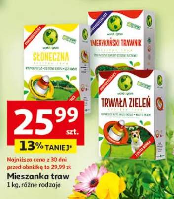 mieszanka traw