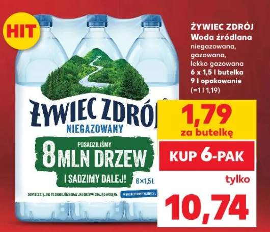 Woda źródlana niegazowana 6-pak