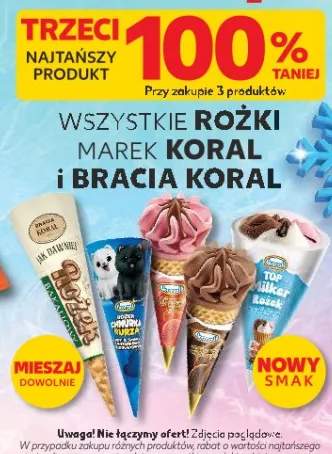 Lody różne rodzaje