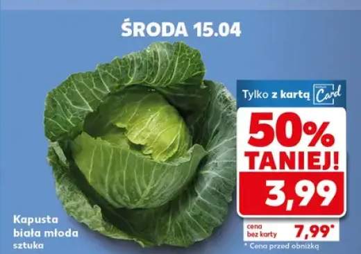 Kapusta biała młoda