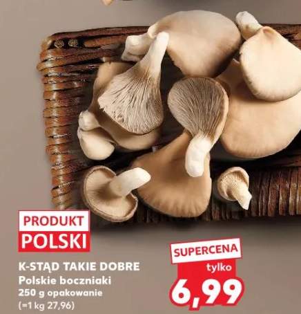 Boczniaki polskie