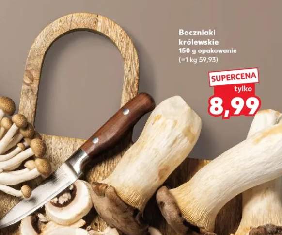 Boczniaki królewskie