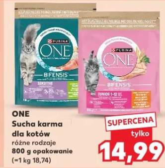 Sucha karma dla kotów różne rodzaje