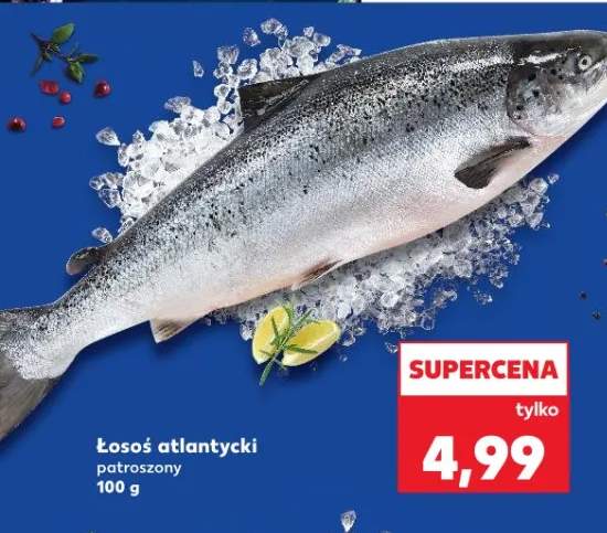 łosoś patroszony