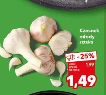 Czosnek młody sztuka