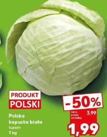 Kapusta biała luzem