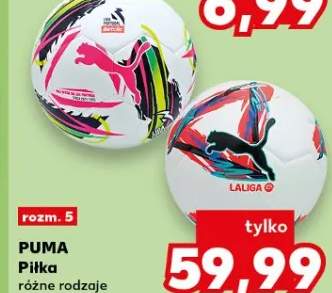 Piłka różne rodzaje