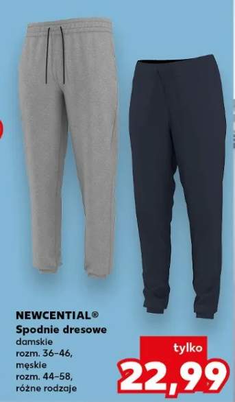 Spodnie dresowe damskie