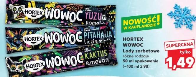 Lody sorbetowe różne rodzaje