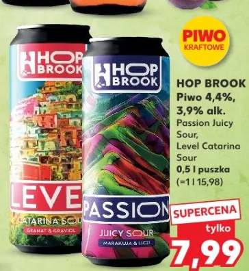 Piwo Hop Brook Passion Juicy Sour Level Catarina Sour