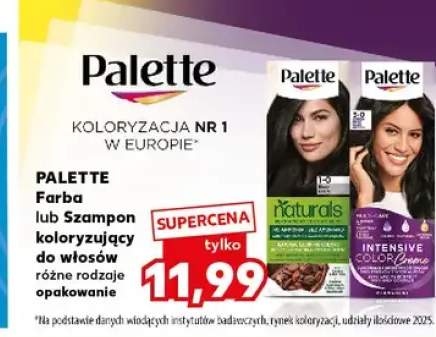 Farba do włosów Palette