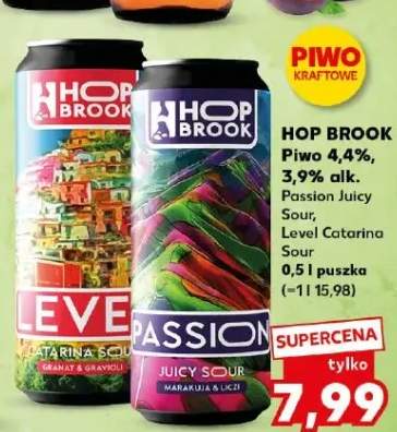 Piwo Hop Brook 4,4% 3,9% alk. Level Catarina Sour