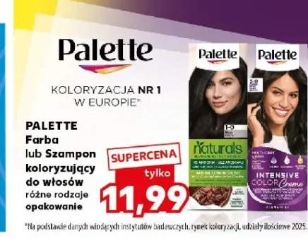 Farba do włosów Palette różne rodzaje