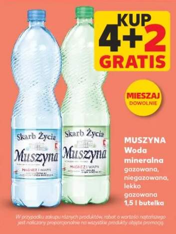 Woda mineralna gazowana Muszyna Skarb Życia