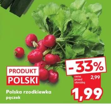 Rzodkiewka pęczek polska