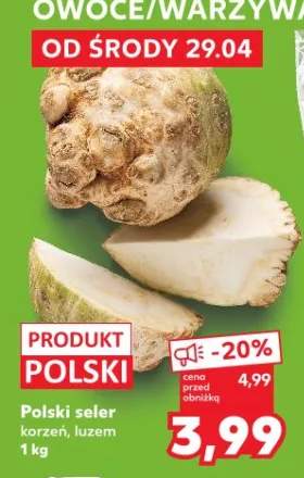 Seler korzeń luzem polski