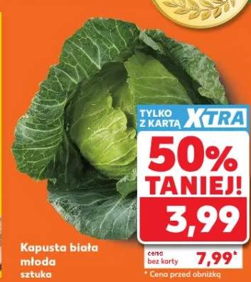 Kapusta biała młoda