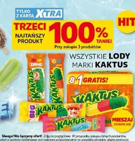 Lody Kaktus