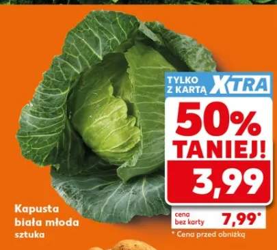 Kapusta biała młoda