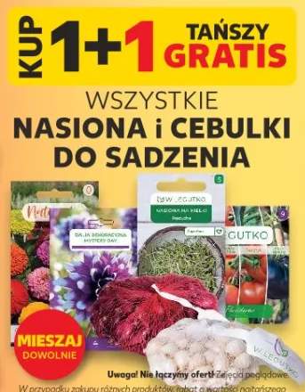 Nasiona i cebulki do sadzenia