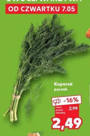 Koperek pęczek