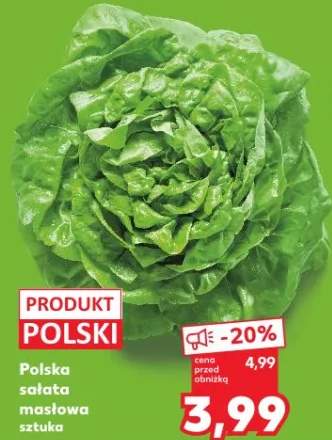 Sałata masłowa polska
