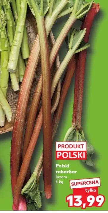 Rabarbar luzem polski