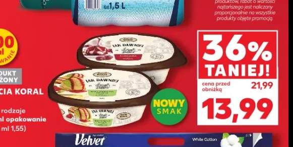 Lody Bracia Koral