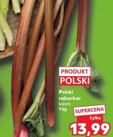 Rabarbar luzem polski